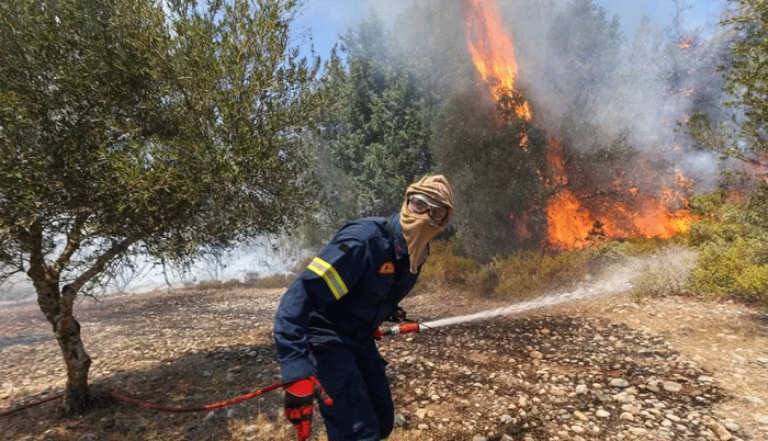 Deadly Mediterranean wildfires kill more than 40