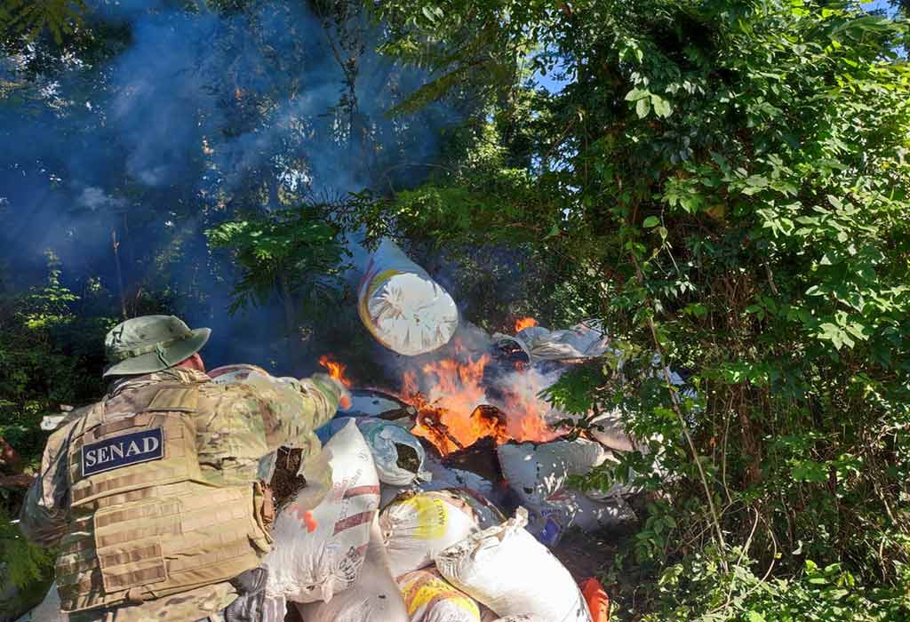 Paraguayan police officers destroy 11 tons of marijuana