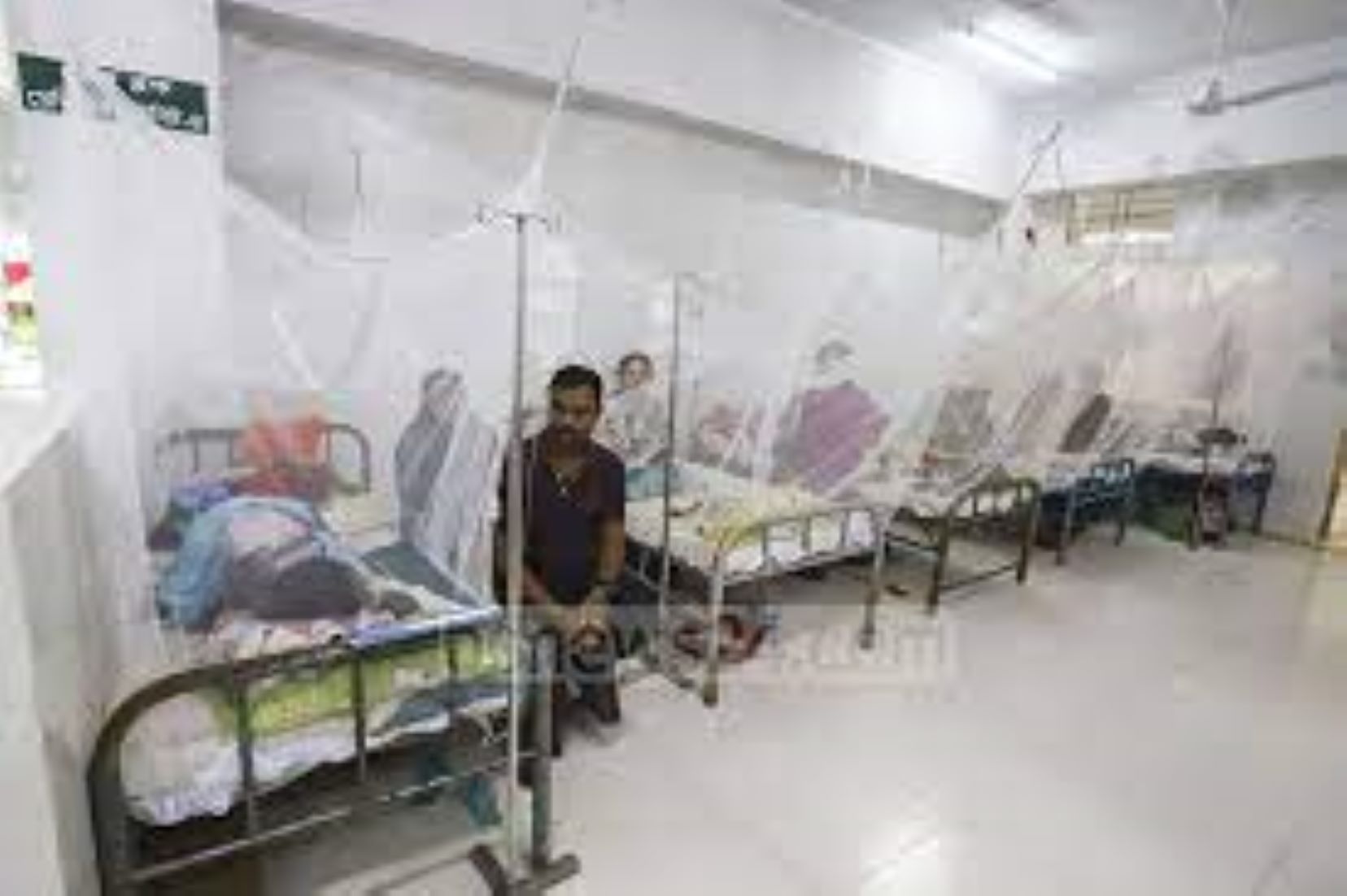 Bangladesh Reported Highest Single-Day Dengue Cases Of 678, Death Toll Reached 61