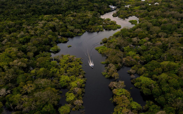 Amazon neighbors race to save world’s biggest rainforest