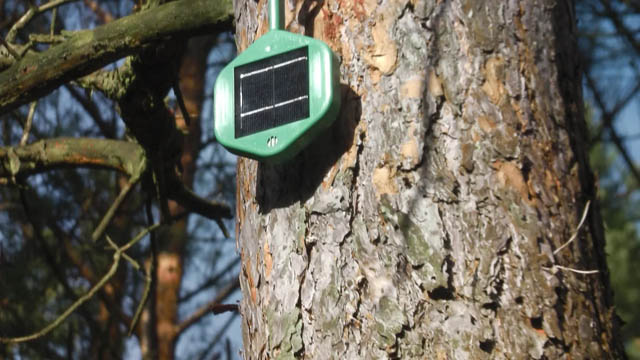 Electronic ‘noses’ help sniff out forest fires in Germany