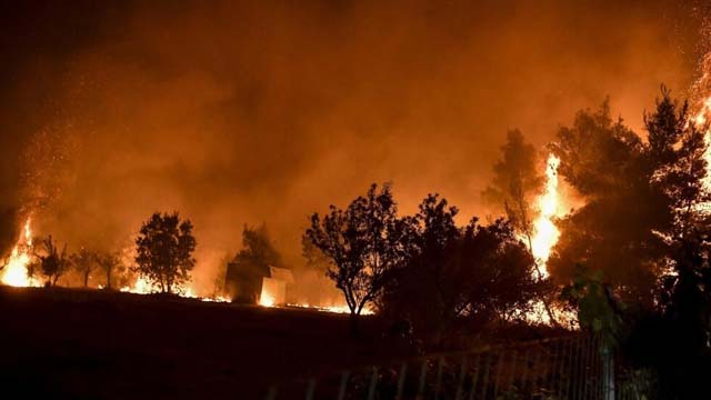 Greece races to tackle wildfires as winds resume