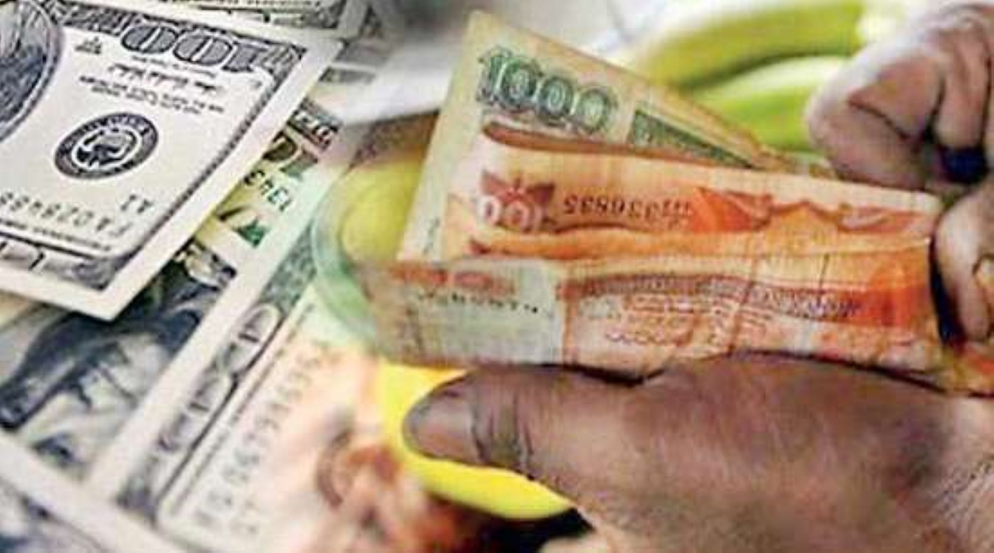 Sri Lankan Workers Remitted Over 2.8 Billion USD In H1