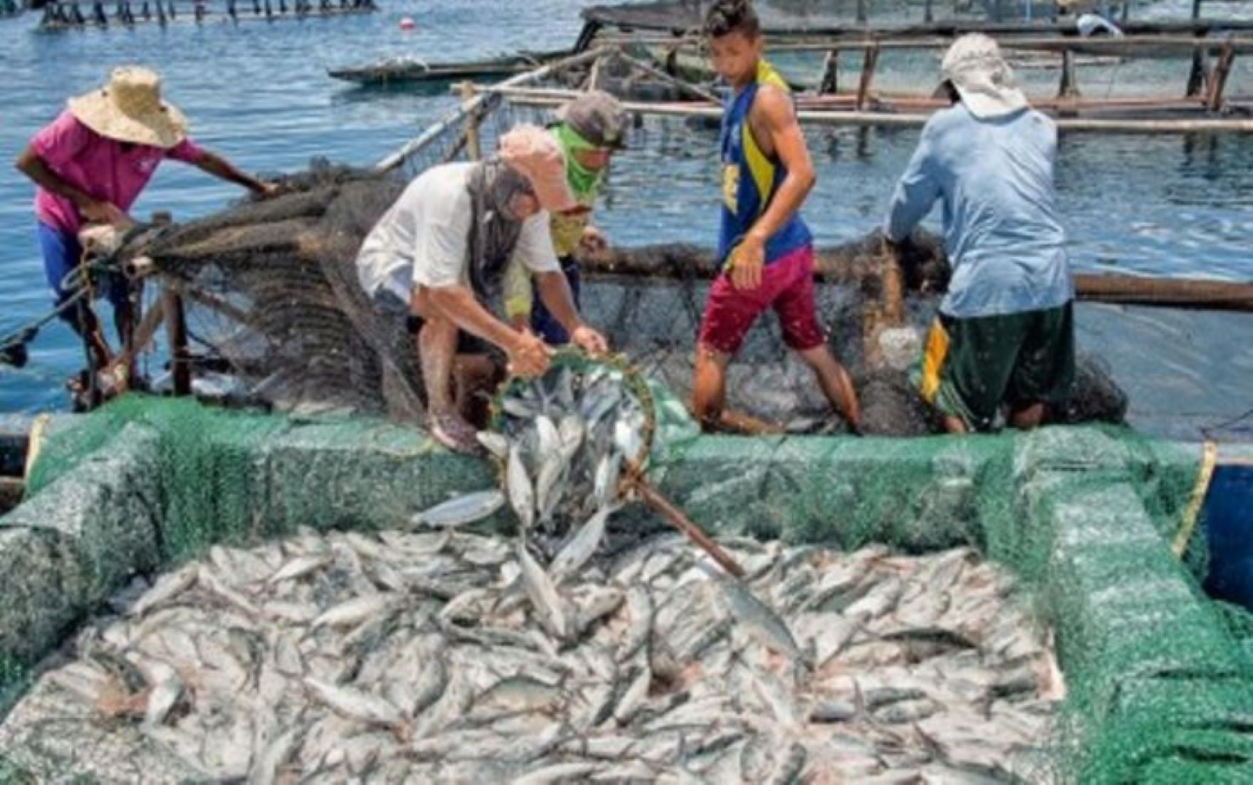 Philippines, World Bank Sign 600-Million-USD Loan To Enhance Agriculture, Fisheries Sectors