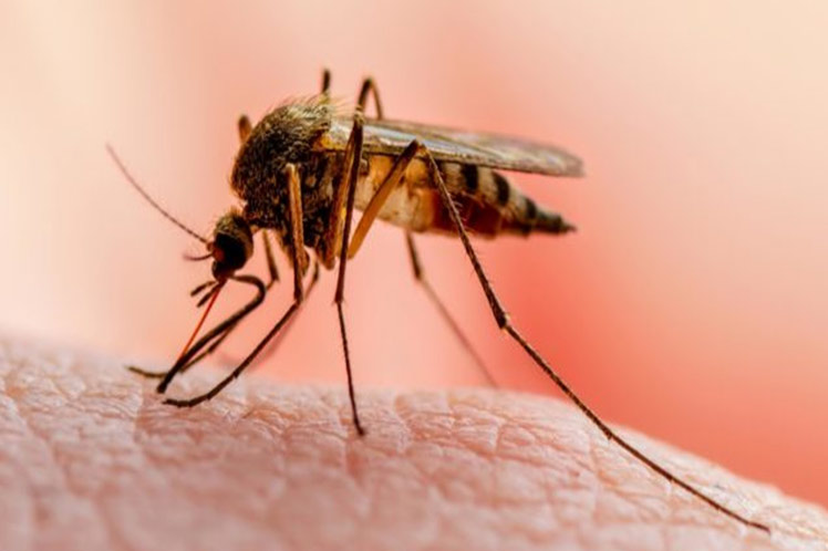 Costa Rica, Nicaragua, PAHO to eliminate malaria in cross-border area