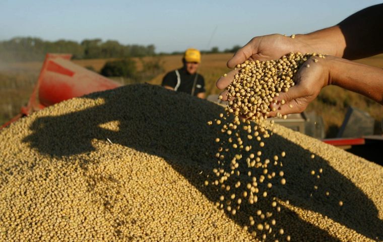 Once-in-a-lifetime drought: Argentina forced to import 6.1 million tons of soybeans in first half of 2023