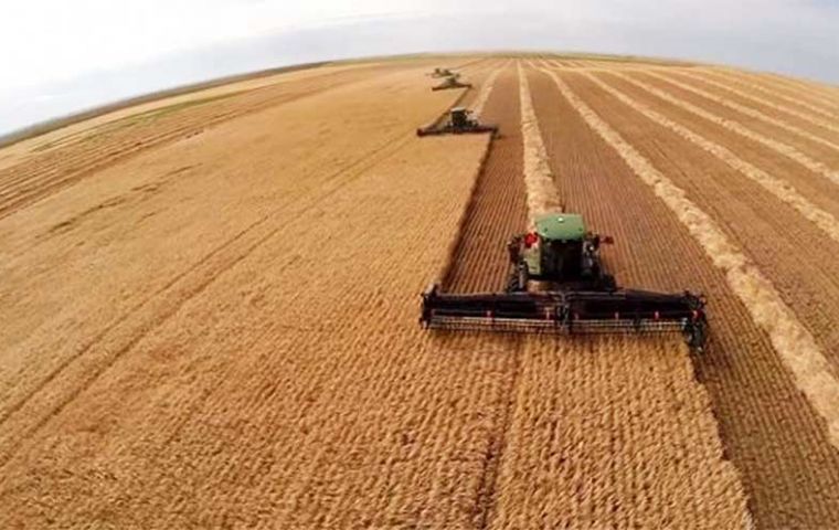 Brazil’s 2022/23 harvest is expected to reach 317.5 million tons with a planted area of 78.2 million hectares