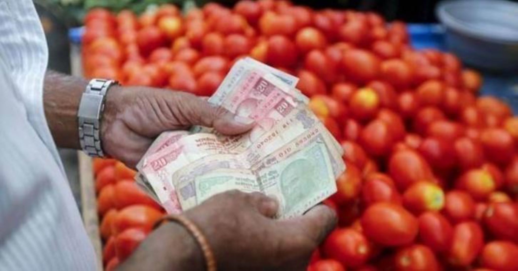 Price Of Tomatoes Continues To Rise In India