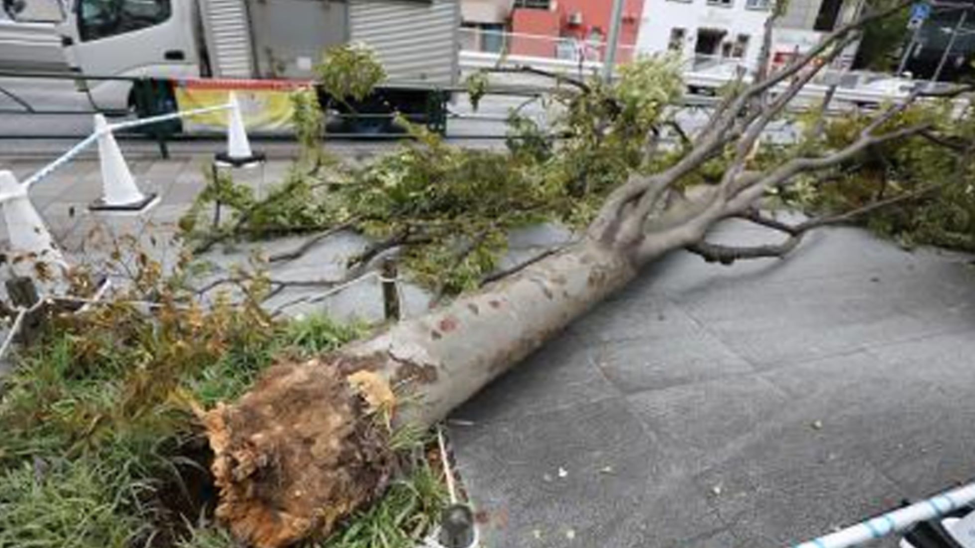 Typhoon Khanun To Hit Okinawa Again