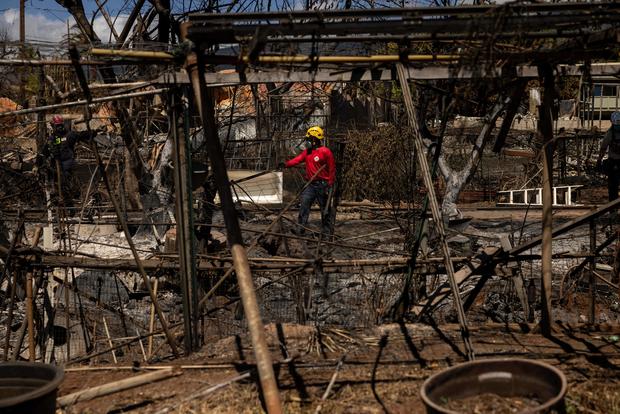 Death toll from Hawaii wildfires up to 114 as search for victims continues