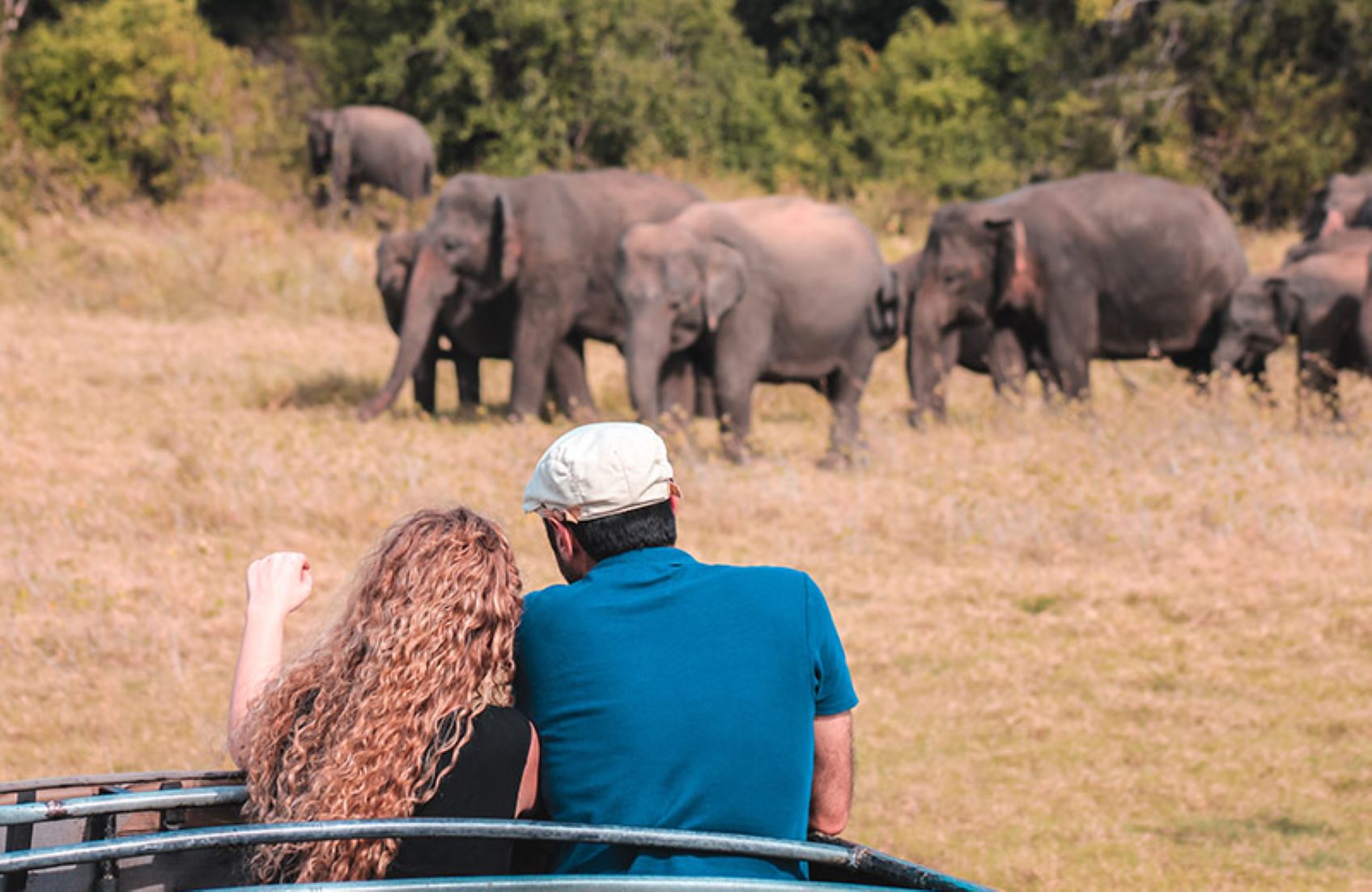 Dry Spell Hits Wild Animals In Sri Lanka’s National Park