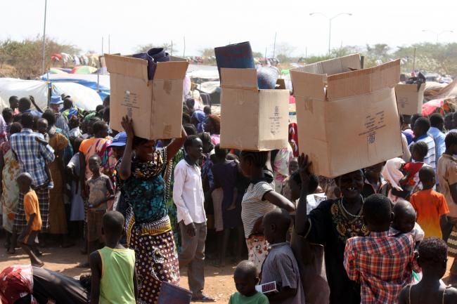 UN carries out cross-border aid deliveries to Sudan’s Darfur