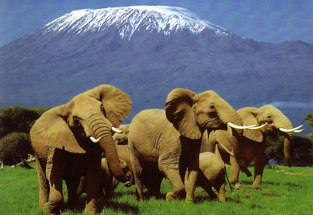 Tanzania records sharp rise in tourist arrivals