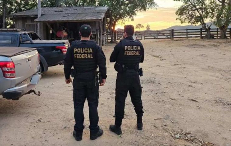 Suspected deforestation gang leader arrested in Brazil