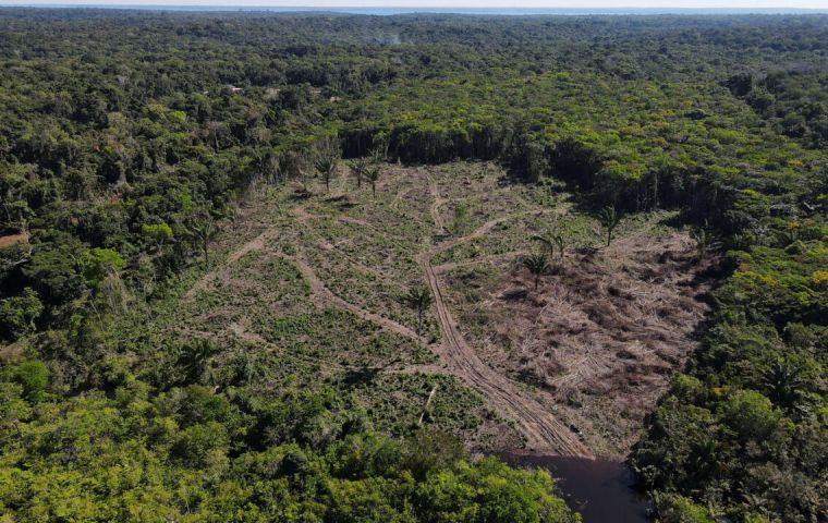 Study shows Brazil needs some US$47bn to recover forests