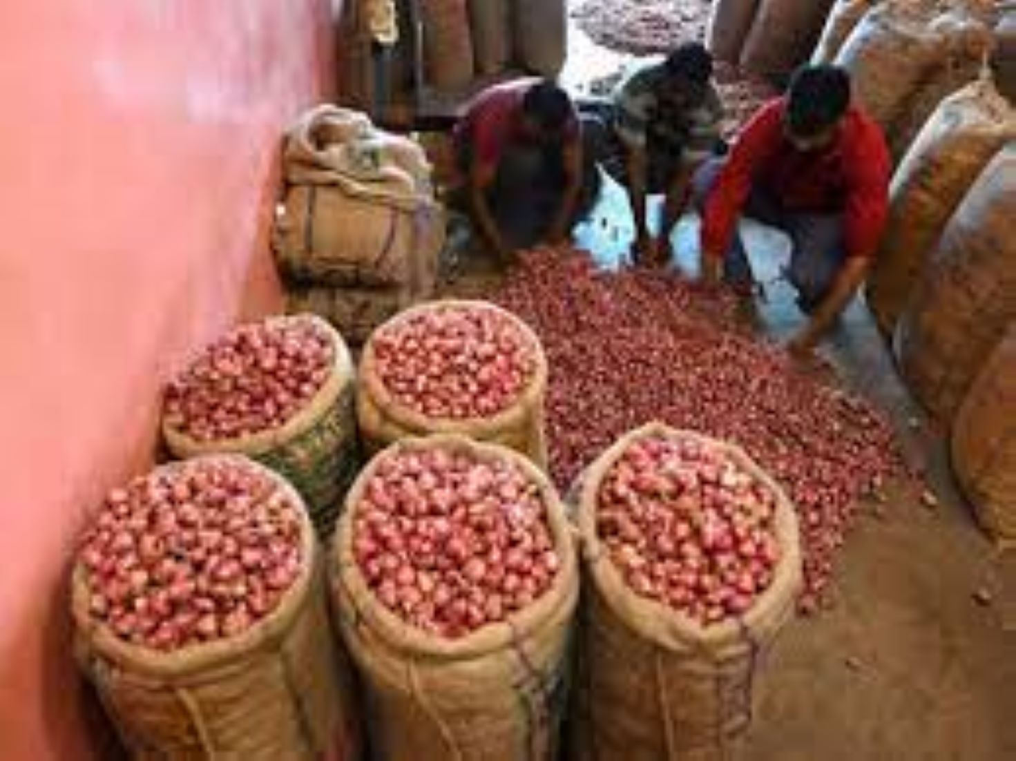 India Imposes 40 Percent Duty On Onion Exports