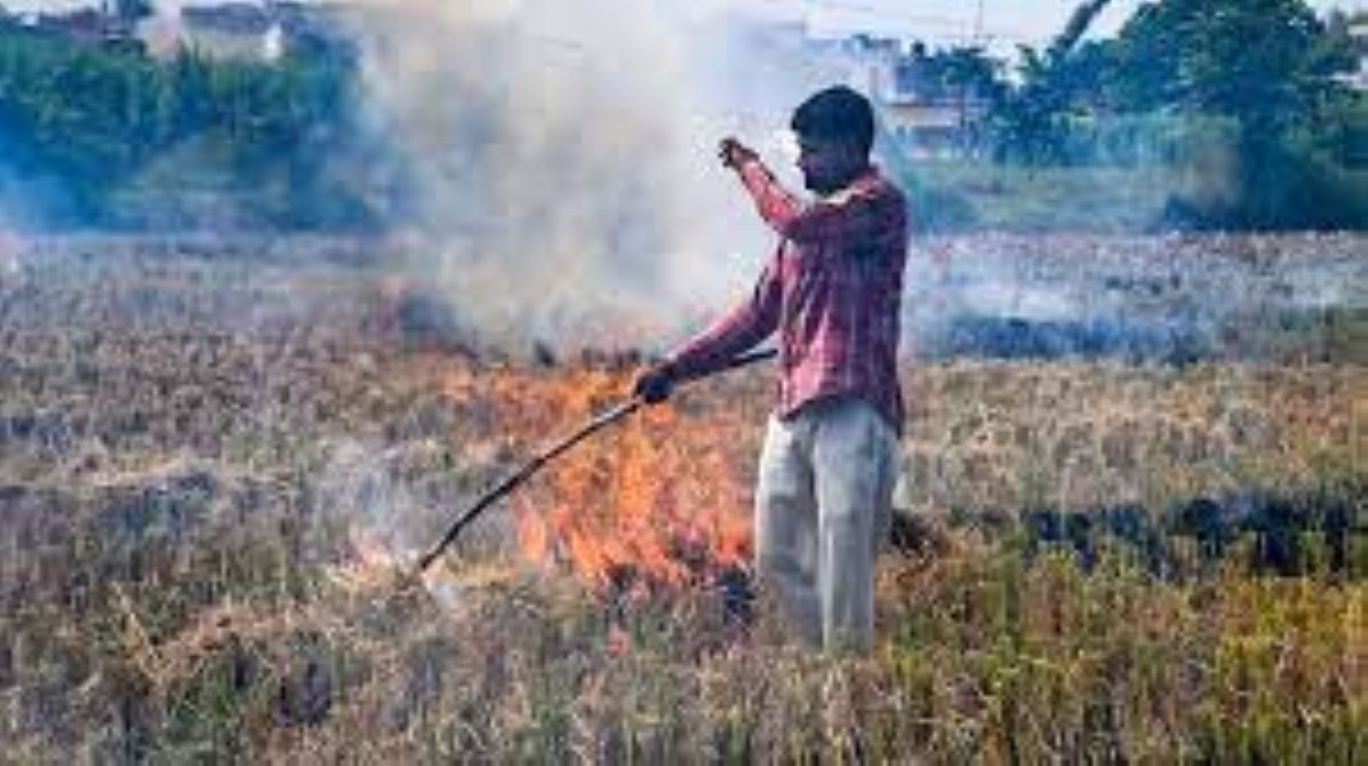 Indian Gov’t Targets Zero Stubble Burning In Delhi