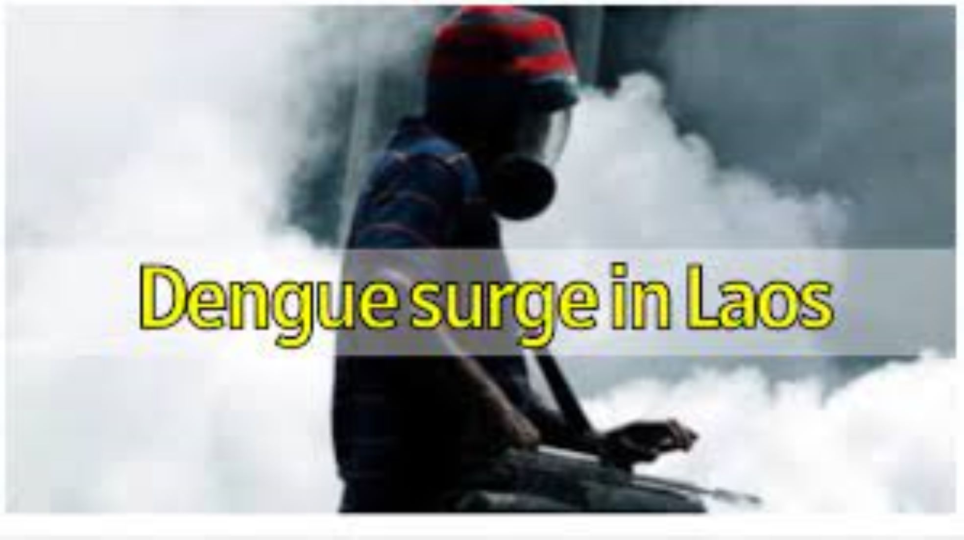 Laos Reported Two Deaths Amid Surge In Dengue Fever Cases