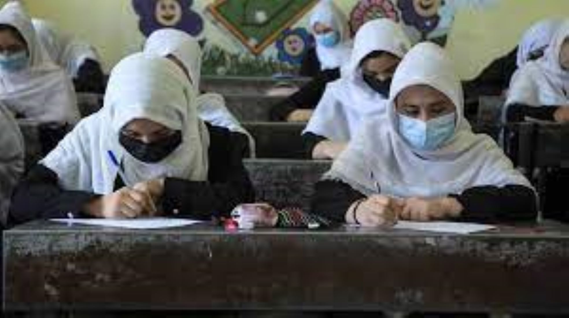 Afghanistan Making Education Plan For Female University Students: Ministry