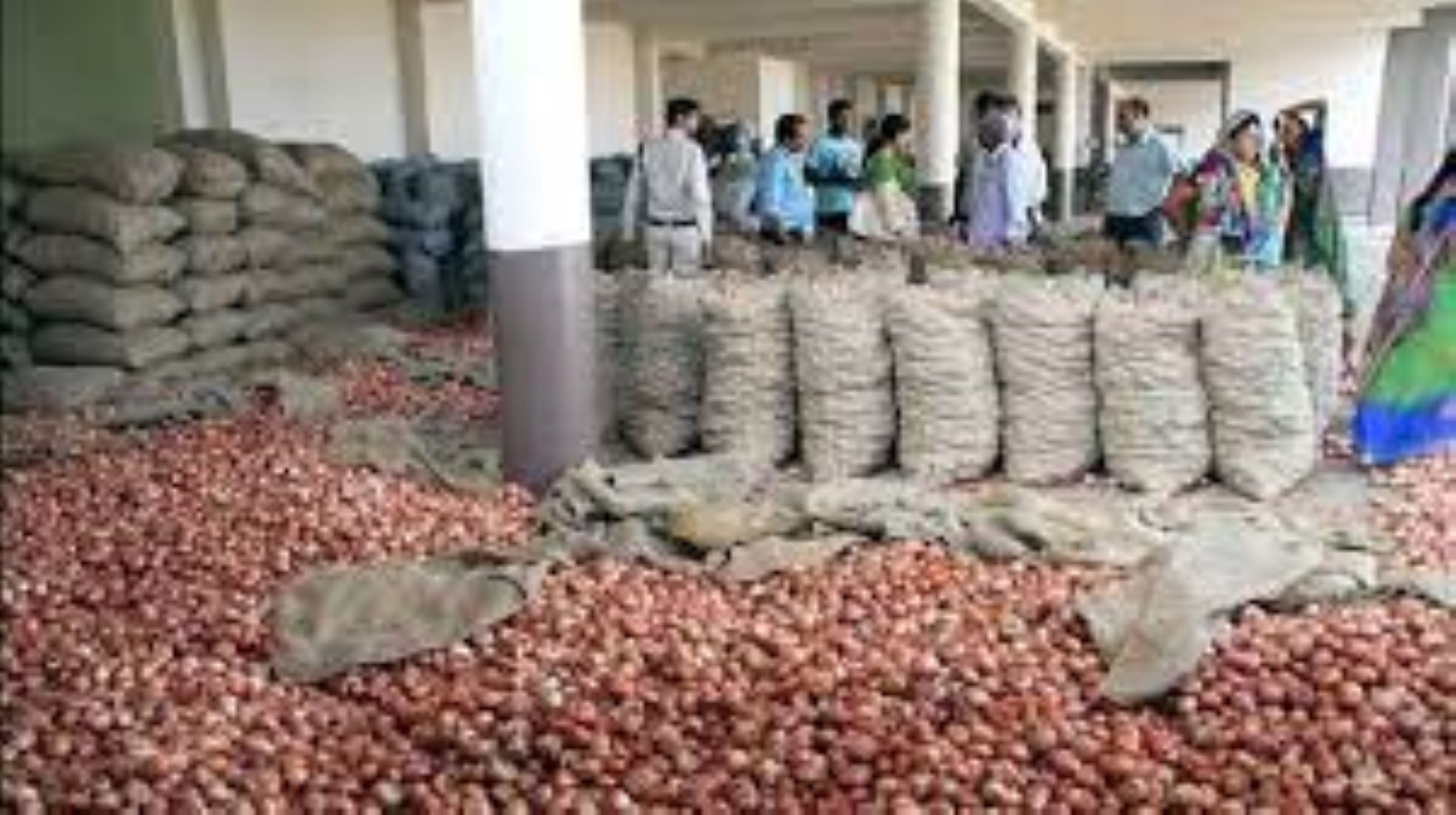 Indian Gov’t To Release Onion Stocks To Check Price Rise