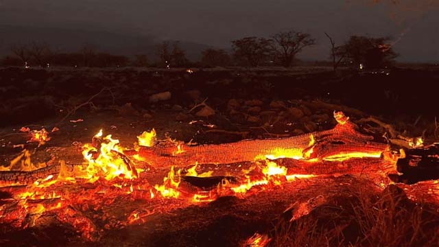 Update: Hawaii fire death toll hits 53, expected to rise higher