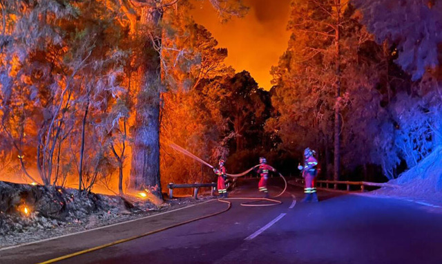 Spain firefighters make gains in battle against Tenerife blaze