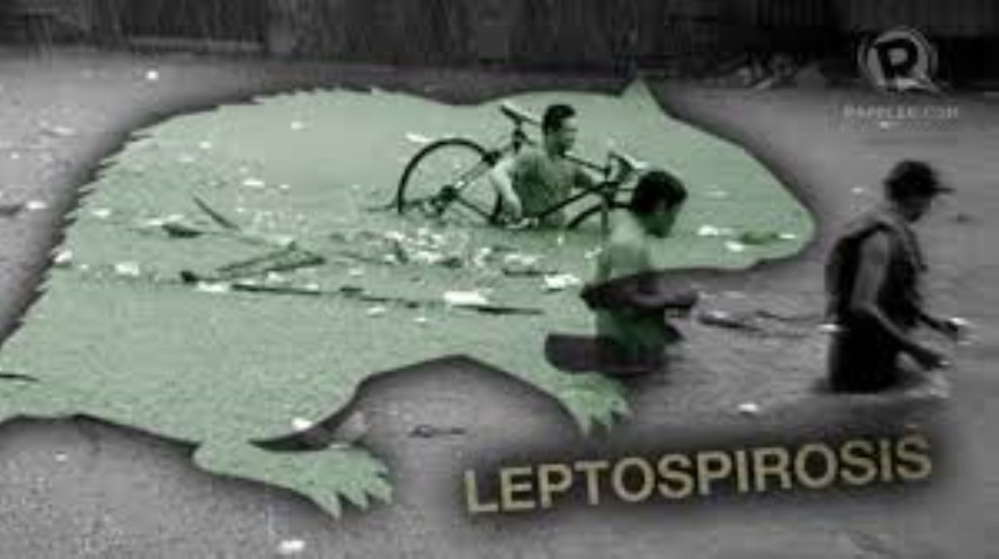 Philippines Grapples With Rising Leptospirosis Cases, 225 Deaths