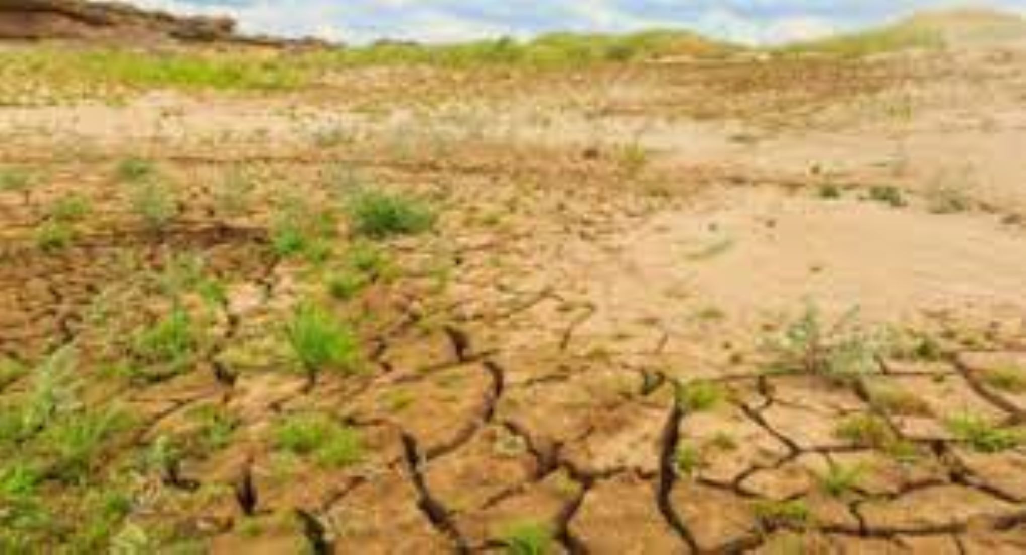 37,000-Acre Rice Fields Affected By Dry Weather In Sri Lanka