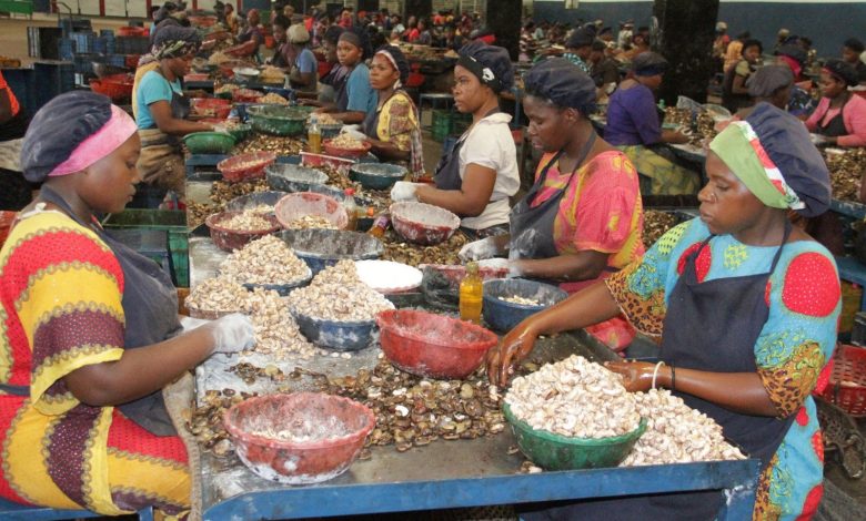 Tanzania: Govt determined to revive cashew processing factories – PM