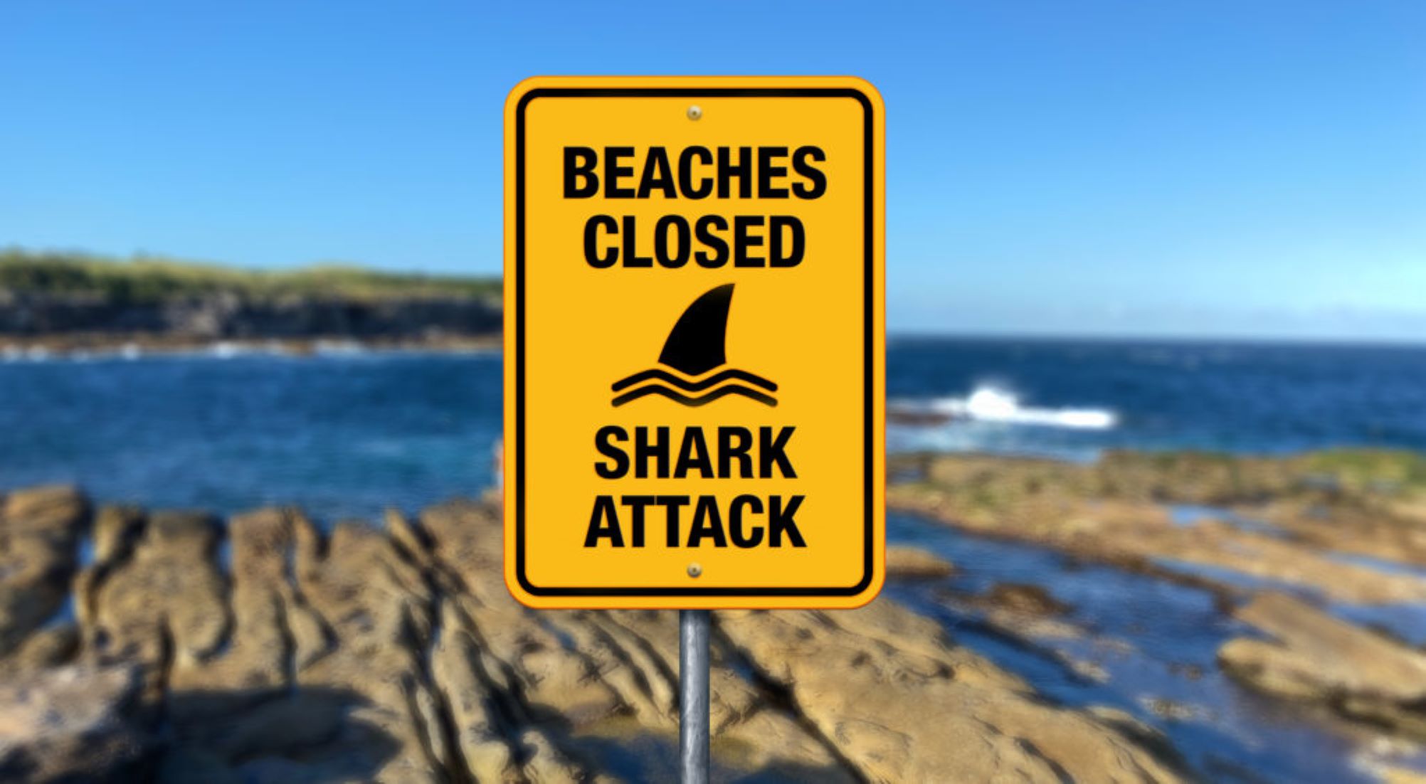 Beaches Closed After Shark Attack In Australia