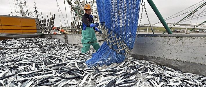 Agriculture forum pays off as Tanzania seals 5.3bn/- deep fishing deals