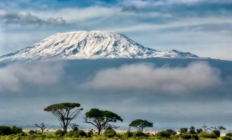 Tanzania: TANAPA extinguishes fire on Mount Kilimanjaro