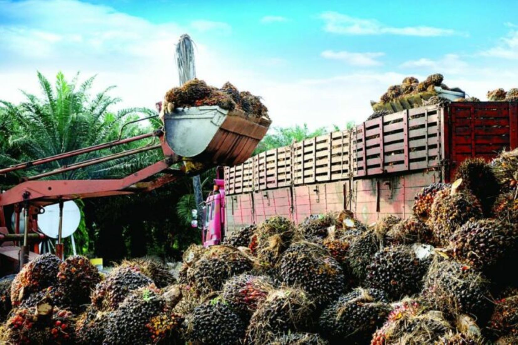 Malaysia Maintains Oct Crude Palm Oil Export Duty At Eight Percent