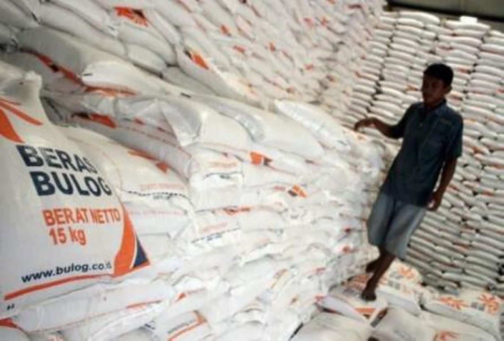 Indonesia Mulls Importing Rice From Asian Countries