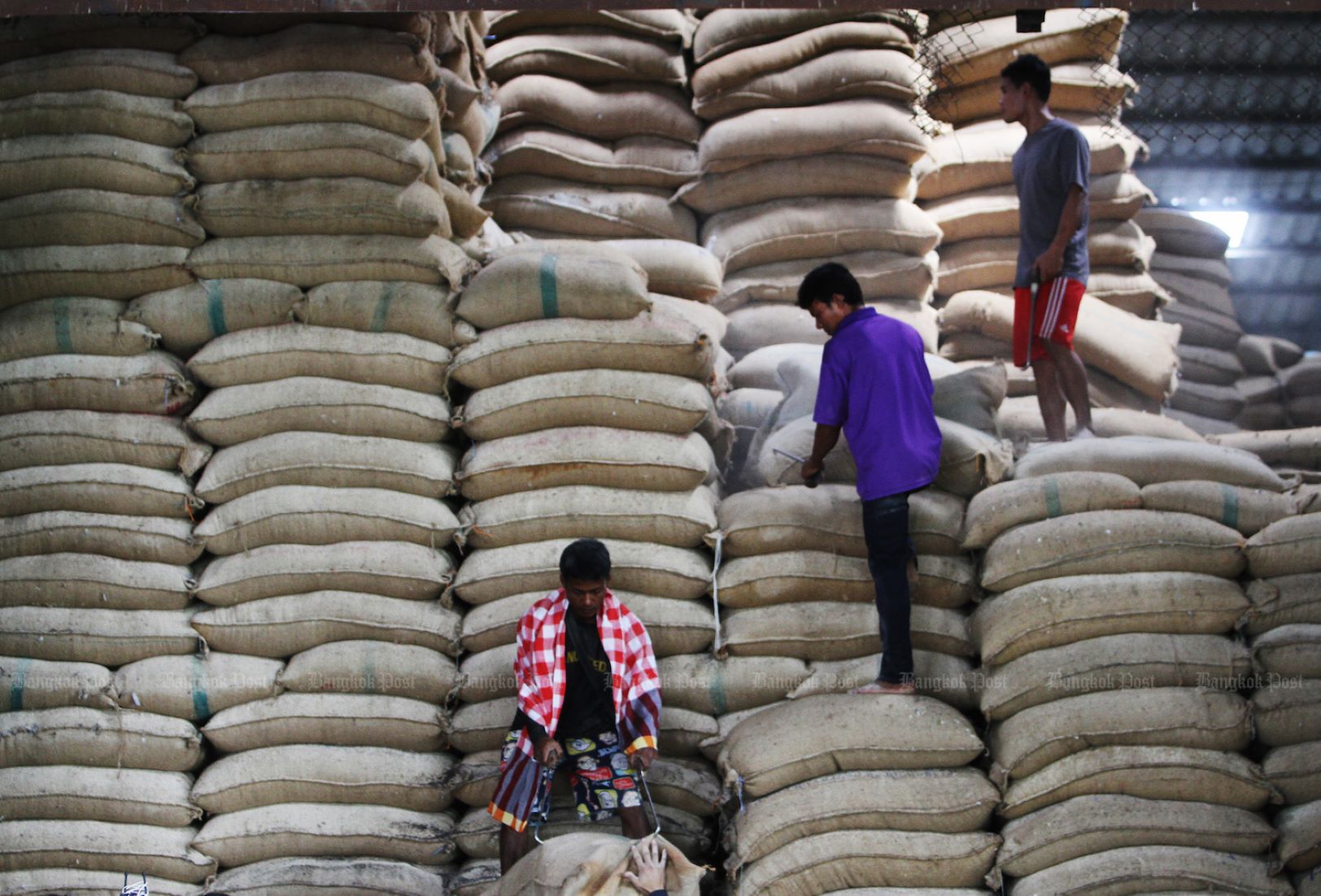 Thailand’s Rice Export Up 11.9 Percent In Jan-Aug