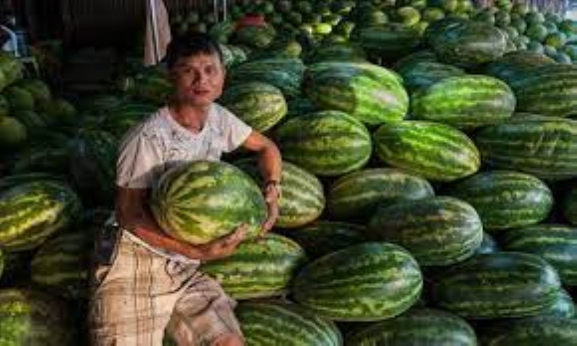 Myanmar Exported Over 113,000 Tonnes Of Watermelon To China In First Eight Months Of The Year