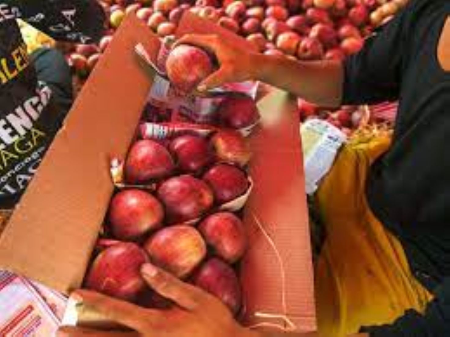 Removal Of Tariff On U.S. Apples Won’t Affect Sales Of Domestic Varieties: Indian Official