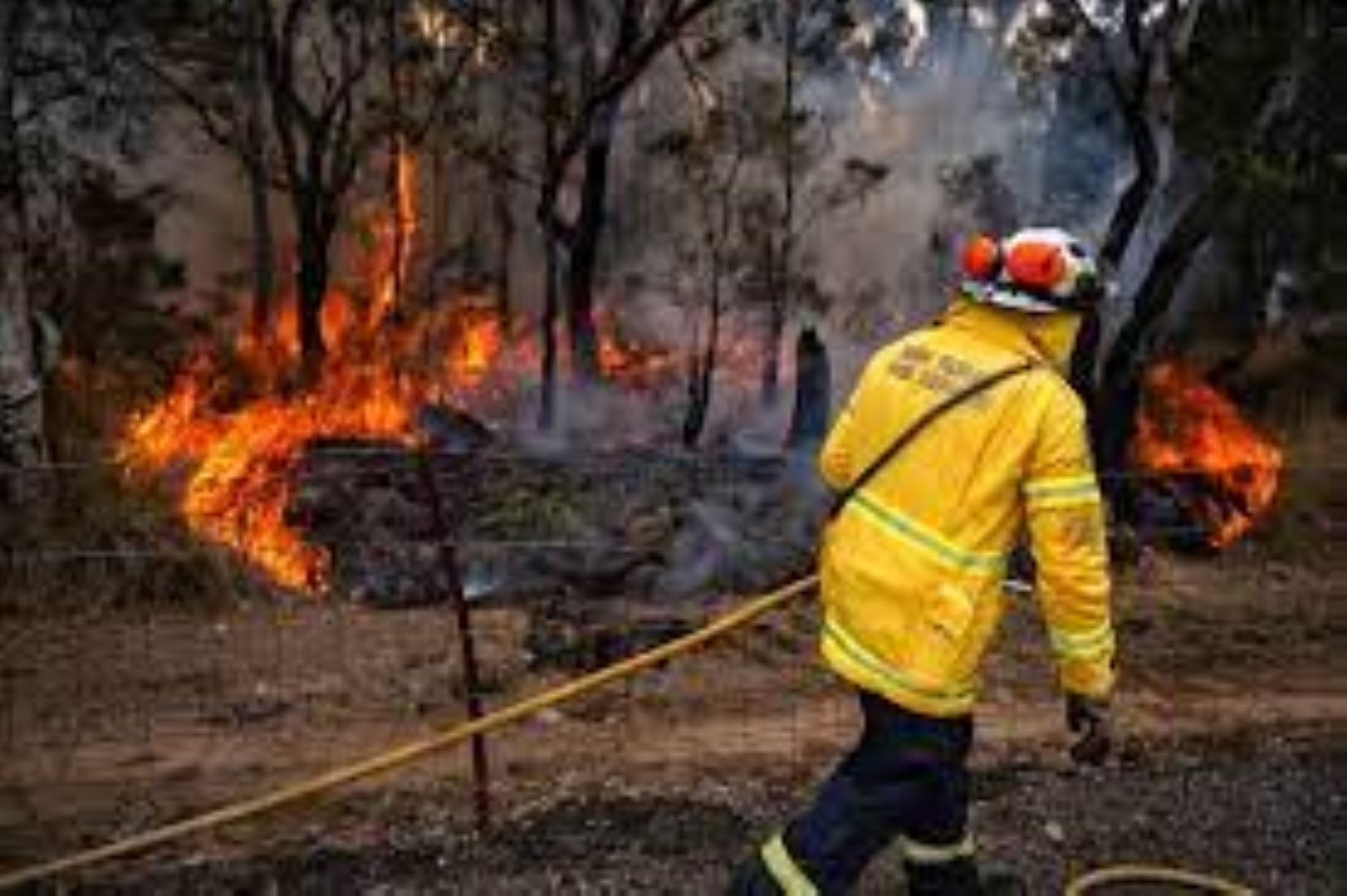 Sydney Faces First Total Fire Ban In Three Years Amid Spring Heatwaves