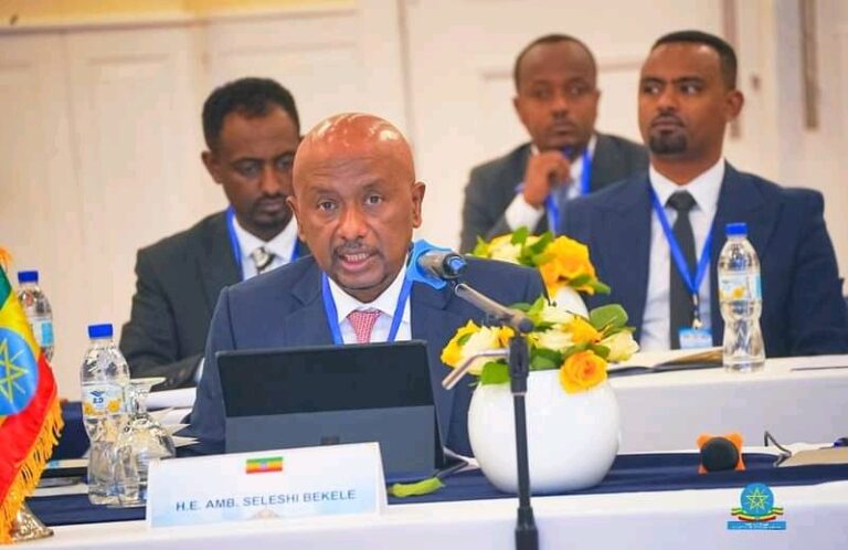 Second tripartite round on Ethiopian dam ends without any details