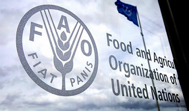 Global food prices down 2.1 pct in August: FAO