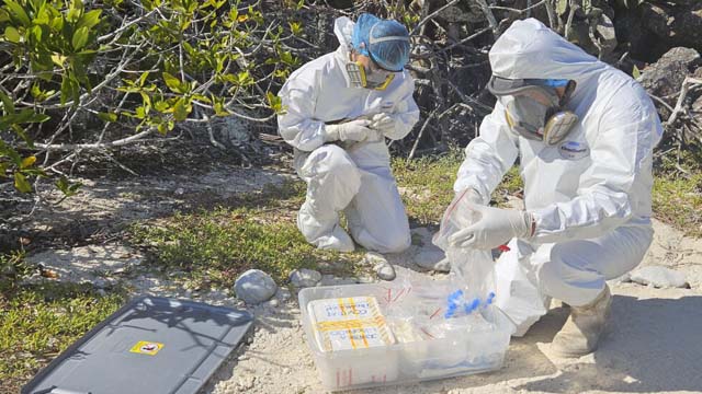 Ecuador: Avian flu hits bird paradise of Galapagos Islands