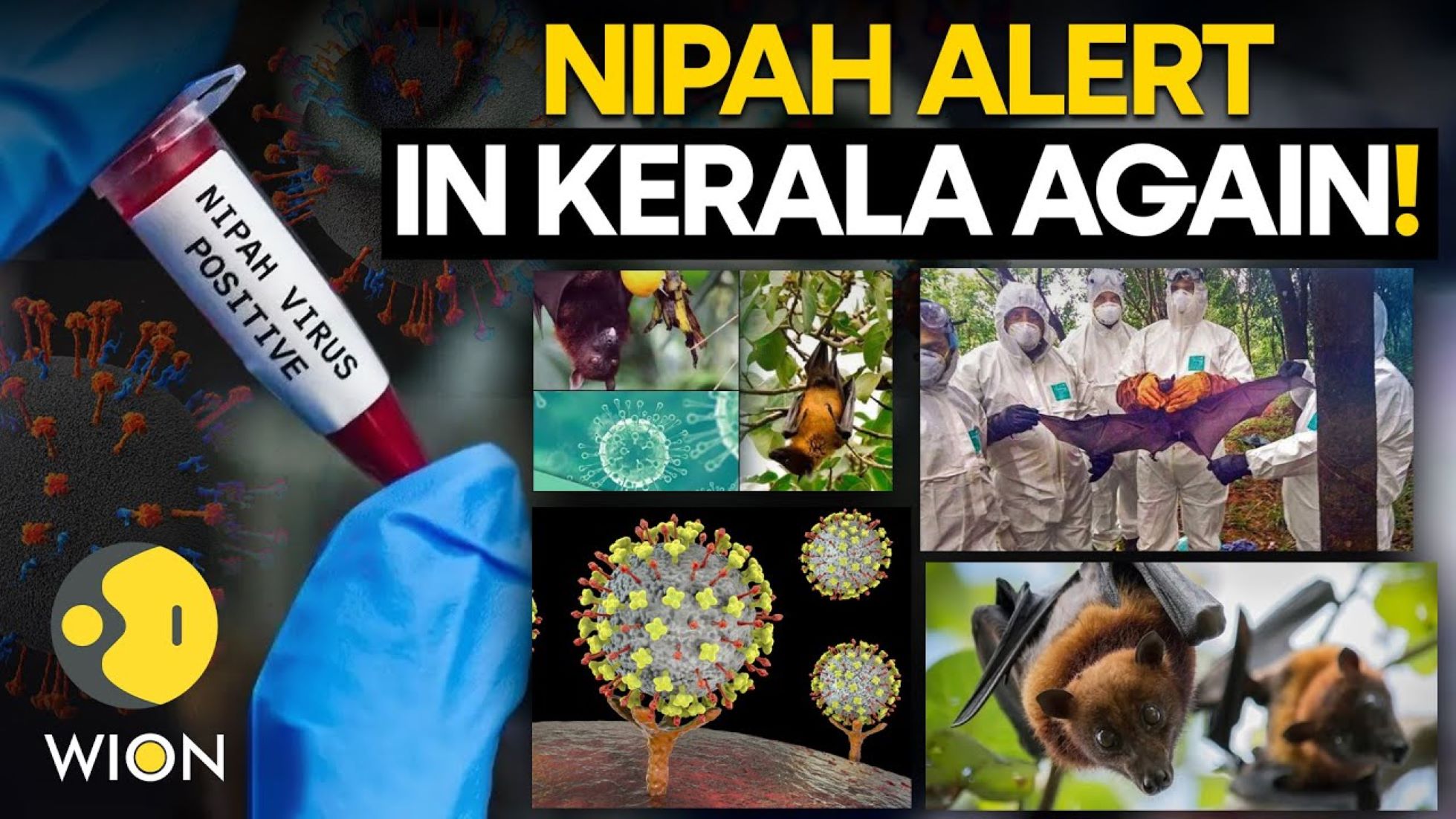 Nipah Virus Alert Issued In Kerala