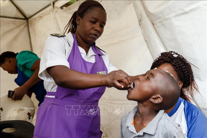 Cholera outbreak kills 12 people in Zimbabwe