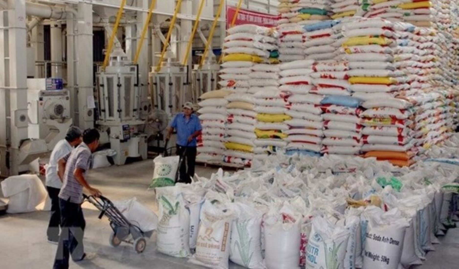 Vietnam To Supply 7.5 Million Tonnes Of Rice To Other Economies