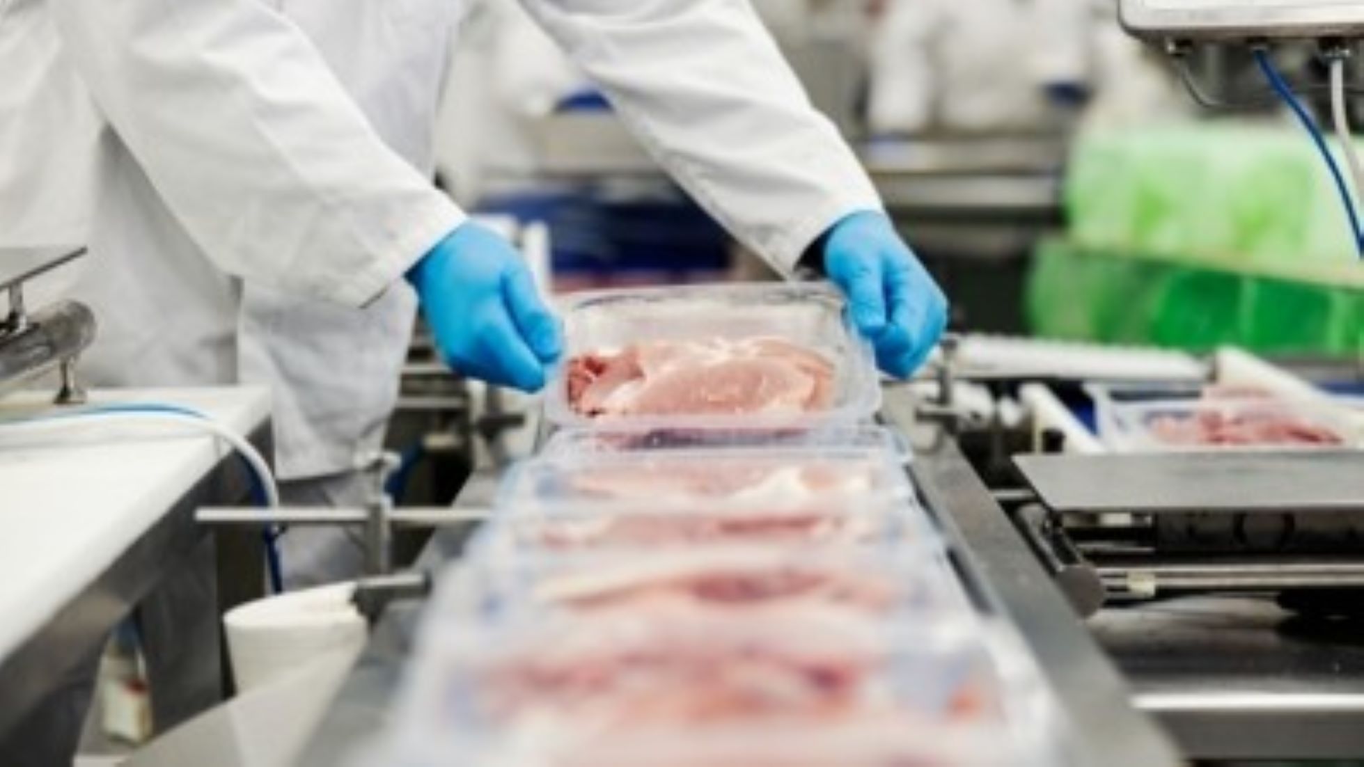 Myanmar To Export Frozen Meat To Foreign Countries