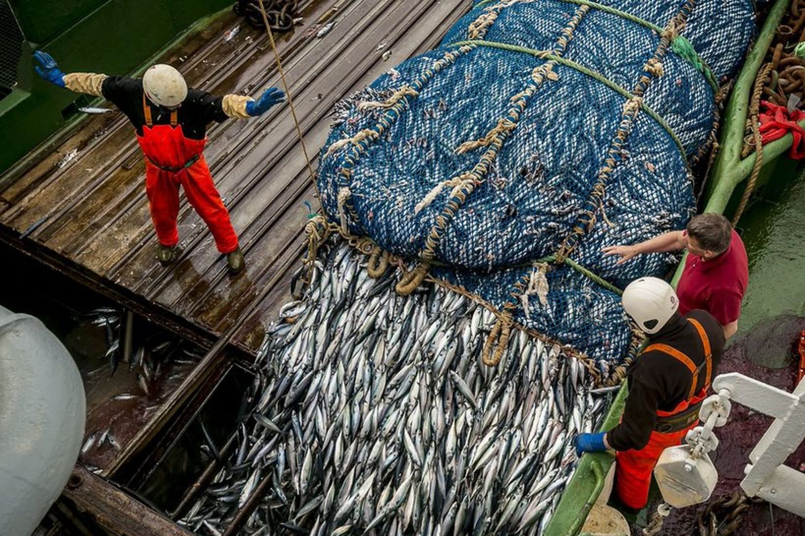 Norway, Russia Finalised Fisheries Agreement For 2024