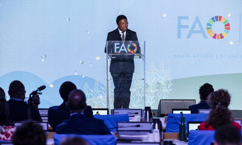 Tanzania assures FAO cooperation to realise food security