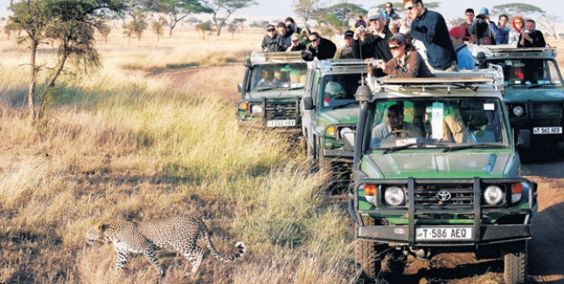 Tanzania records 25pc increase in tourist arrivals