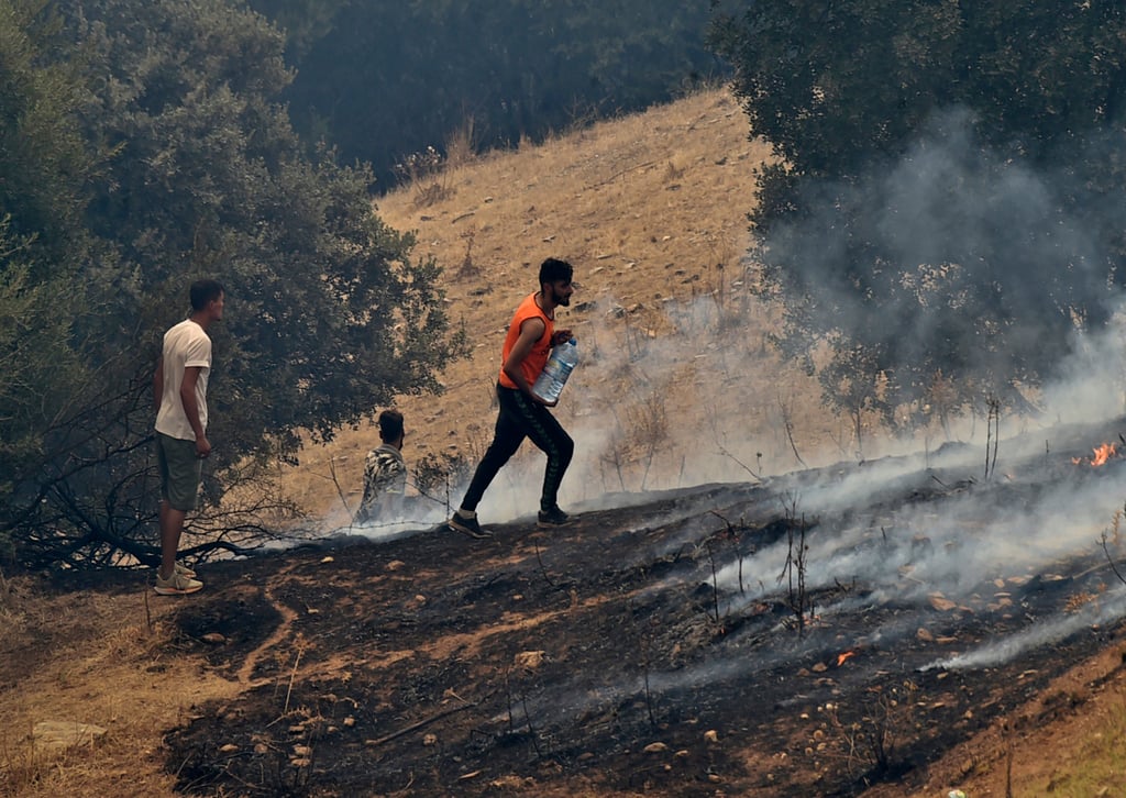 Algerian court sentences 38 people to death for killing man wrongly accused of causing a wildfire