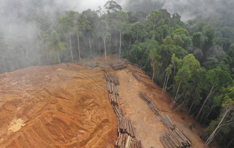 EU anti deforestation law will impact 34% of Brazilian exports: Government